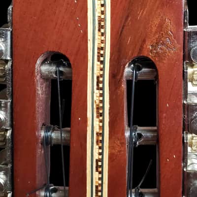 Vegan Bolivian Charango Hand-Carved Wood Back 10 String image 4