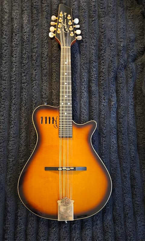 Godin A8 Electric Mandolin 2010s - Cognac Burst | Reverb