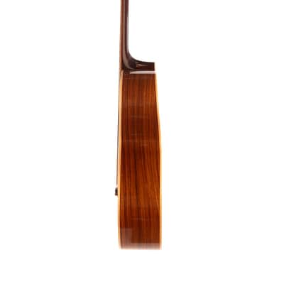 Benavides 0-12 12 String Brand New image 4