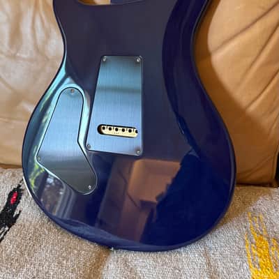 Rare Color! 6.98lbs 2018 PRS Custom 24 - Faded Gray Black Blue Burst image 6