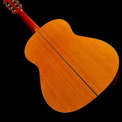 Omar Olague Double Back Concert Flamenca Blanca Especial 2024-Spruce/Cypress image 12