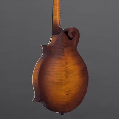 Northfield F2S Oval Hole w/ Red Spruce Top & Wide Nut (#S2601511) image 9