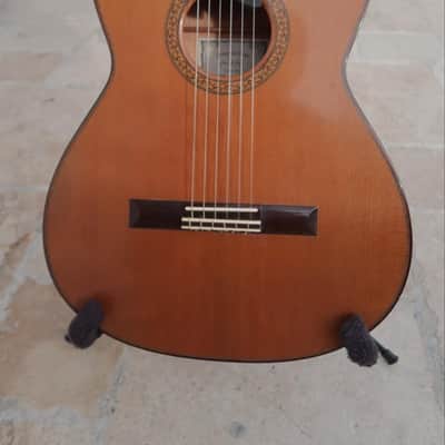 Joshia de Jonge (Canada) Classical Guitar 2014 (Concert Model) image 13