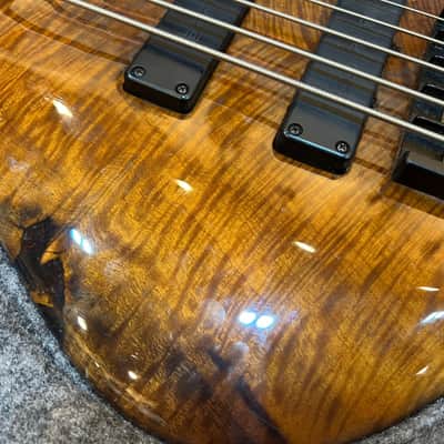 Roscoe SKB 3005 Custom 5 String Fretless Bass image 5