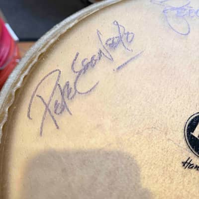 *WOW!* LP Latin Percussion E-Class Quinto/Conga/Tumba Trio Set w/ Signed Heads from Escovedo Family! image 9