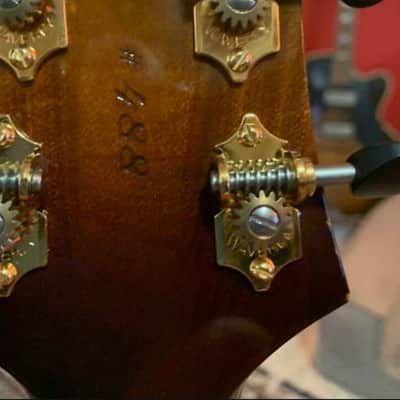 Eastman El Rey - Sunburst image 5
