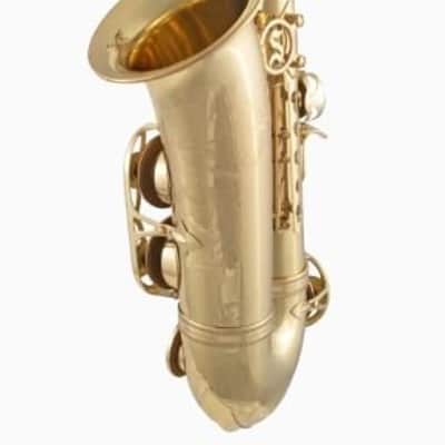 Selmer Alto Saxophone SAS511 Advanced Level Lacquer Finish 24086865 image 4