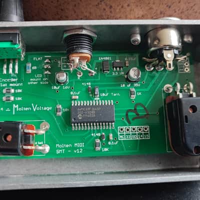 Digitech Bass Whammy & Molden Midi B image 18
