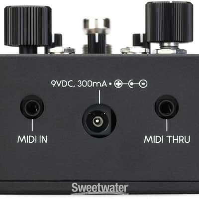 Walrus Audio Canvas Rehearsal Pedal (CanvasRehd1) image 4