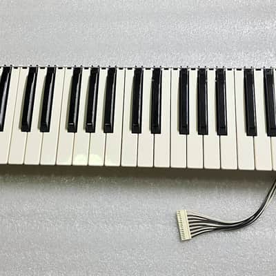 Authentic keybed replacement for Sequential Circuits Six-Trak *RARE*