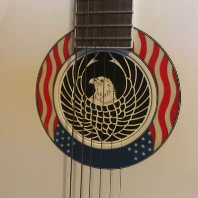 Washburn D2001PWH 2001 White Patriot image 2