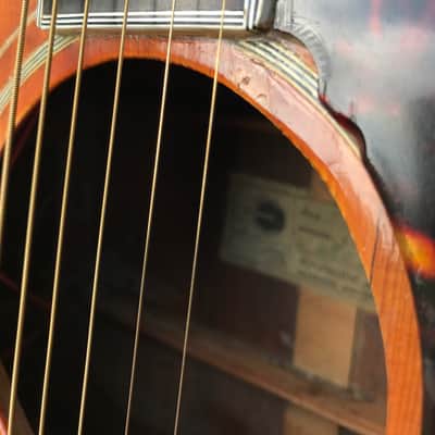 Epiphone FT-120 Excellente 1964 Natural image 11
