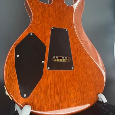 USED PRS 25th Anniversary 513 image 2