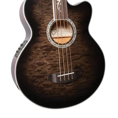 Michael Kelly Dragonfly 4 Fretless Acoustic Bass with Smoke Burst Finish image 5