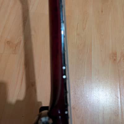 Vigier GV wood burgundy fade image 5
