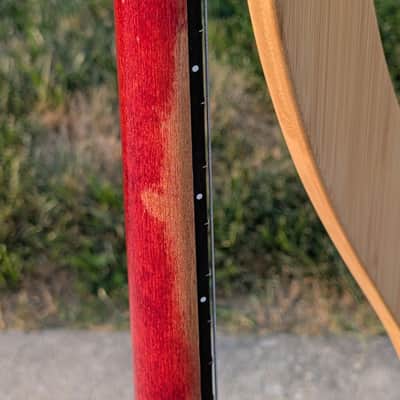Gibson Les Paul Junior Tribute Double Cut 2019  Worn Cherry image 12