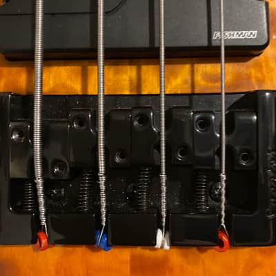 Spector Q4 Pro Heavily modified image 3