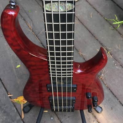 Modulus RARE Q5 20th anniversary edition #1 of 20 2000 black cherry image 2