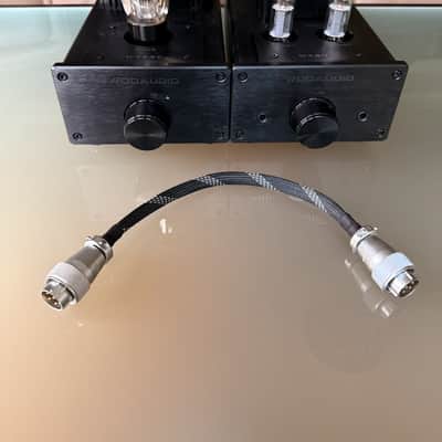 Immagine Woo Audio WA6SE Tube Headphone Amp - 2