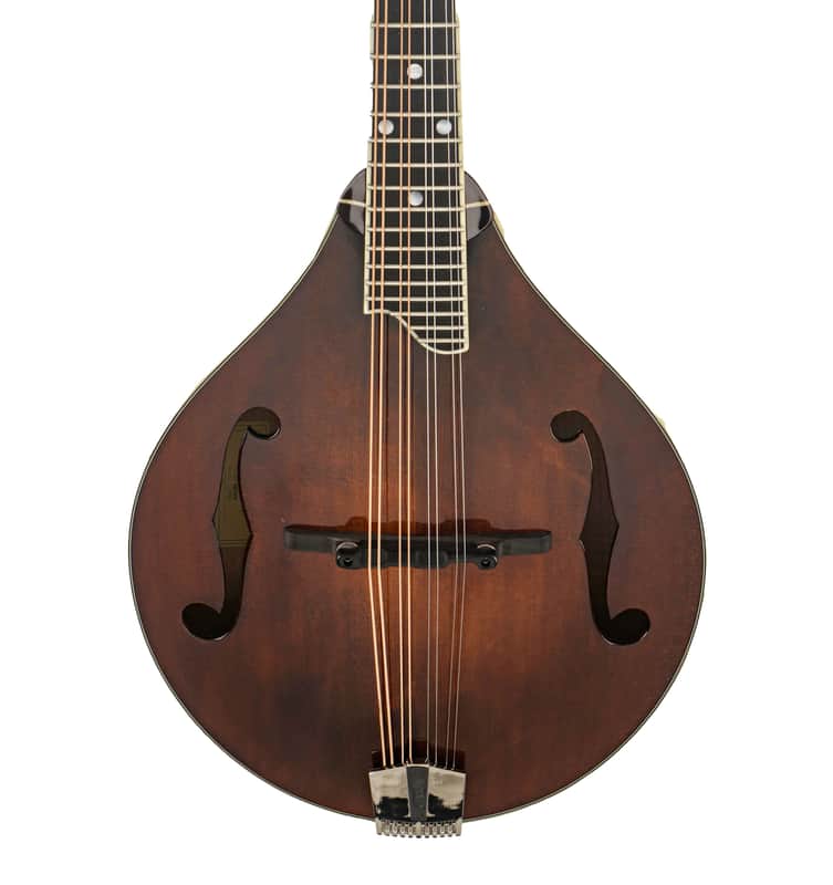 Eastman MD505 Mandolin #N2500813 image 1