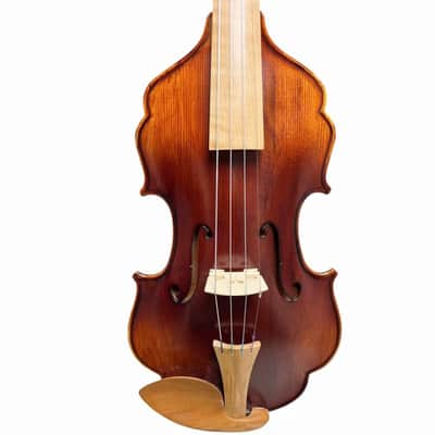 Unique design,4/4 Violin without rib, Carved dragon Scroll No rib Violin image 2