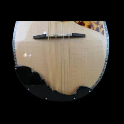 New Professional Japanese style 8 strings bowlback Turnover Mandolin #7336 image 8