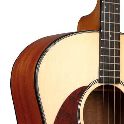 Gold Tone TG-10/L Spruce Top Mahogany Neck 4-String Acoustic Tenor Guitar w/Hard Case For Left Handed Players image 5