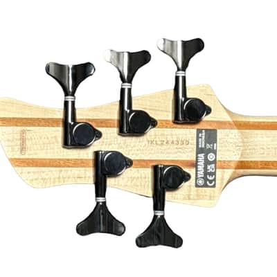 Yamaha TRBX 605FM 5 Matte Amber / Rosewood *ON ORDER ETA JAN 2026 image 11