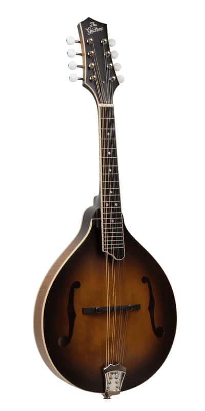 Gold Tone GM-55A A-Style Mandolin with Pickup image 1