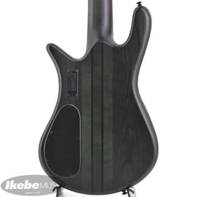 SPECTOR NS Dimension MS 5 - Haunted Moss image 4