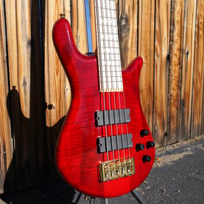 Spector Euro 5 LX Maple Fingerboard – Black Cherry Gloss 5-String Electric Bass Guitar image 8