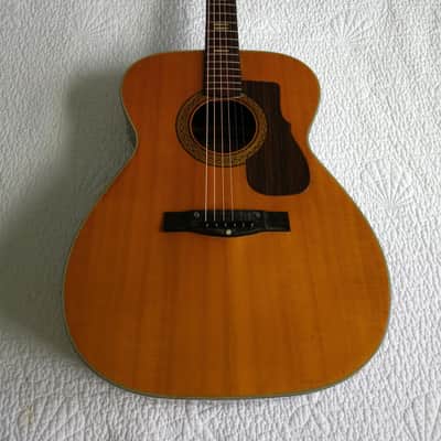 Ventura Bruno V-12 Acoustic Guitar Vintage - Made in Japan (See Video) image 3