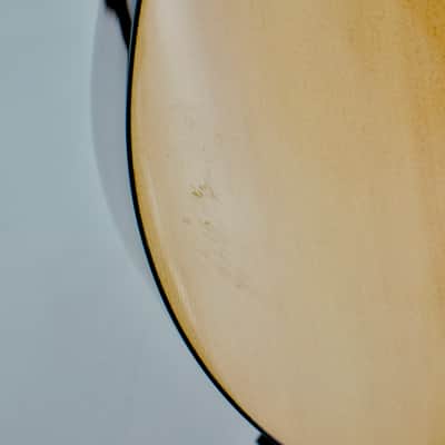 Used Walden D350 Natural Acoustic Guitar image 7
