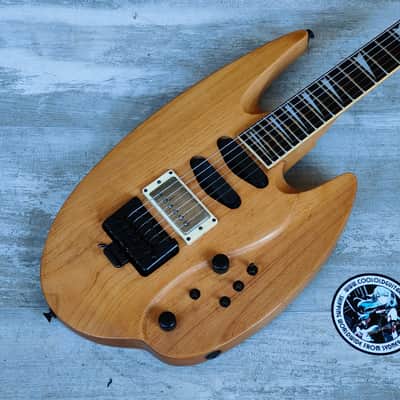 Weird Samick Guitar from 1992 (with Steinberger Tremolo) image 1