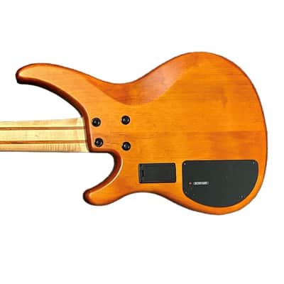 Yamaha TRBX 605FM 5 Matte Amber / Rosewood *ON ORDER ETA JAN 2026 image 2
