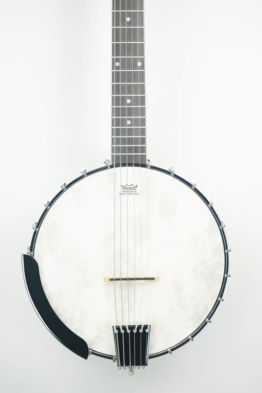 Washburn B6 American 6 String Open Back Banjo image 1