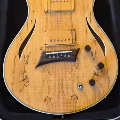 Michael Kelly Hybrid Special | Reverb