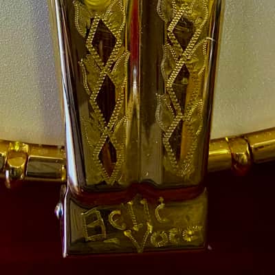 Tim Davis Banjos Mack Crowe Gold Engraved Bluegrass Banjo 2020 Mahogany image 12
