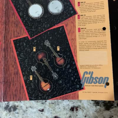 Epiphone Brochure Catalog  1982 Sheraton Casino image 8