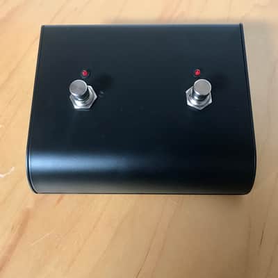 GAPco 2 Button Foot Switch with LEDs and 1/4" Jack Socket (SKU2002) image 1