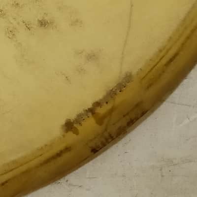 *Leedy 14" Resonant Calf Skin Snare Side Drum Head Kafette Tymp Semi-Transparent image 3