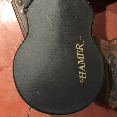 Hamer USA 25th Anniversary Artist 1999 image 18