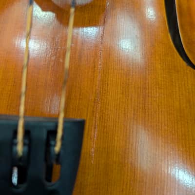 D Z Strad Cello - Model 600 - Cello Outfit (New - Shipping Crack) (4/4 Size) image 3