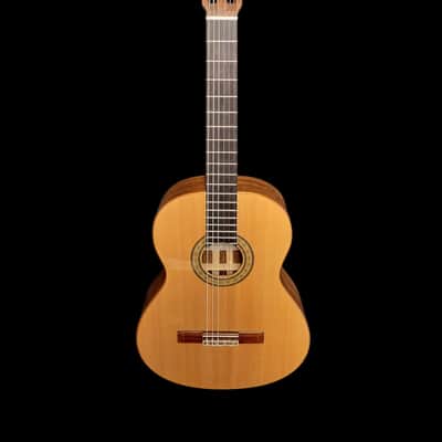 Lord of the Strings by John Vergara Flamenco negra (Rosewood) 2015 - Natural image 3