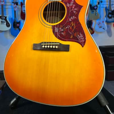 Tokai Hummingbird 180F Folk Guitar Japan Acoustic | Reverb