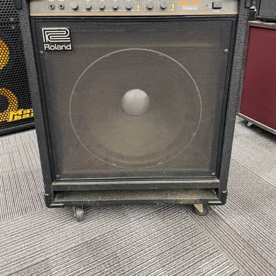 Roland BN-100 Bass Note 100-Watt 1x15