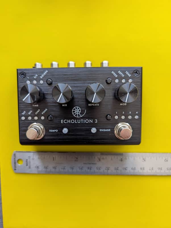 Pigtronix Echolution 3