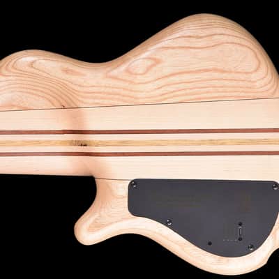 Mayones Cali 5 Fretless - CALI717 image 5