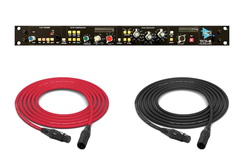 API Audio TCS-II | Channel Strip image 1