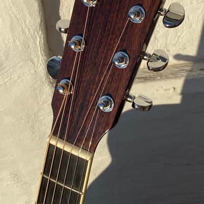 Eastman AC420 Bearclaw image 5